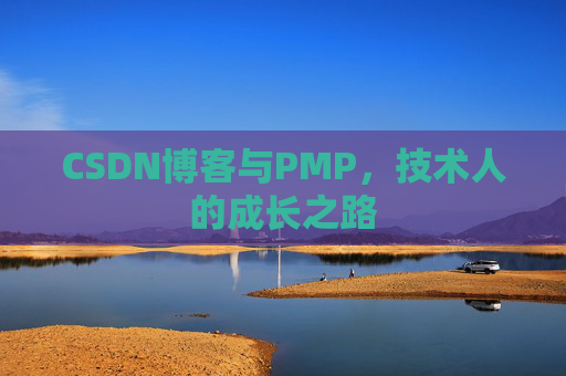 CSDN博客与PMP，技术人的成长之路